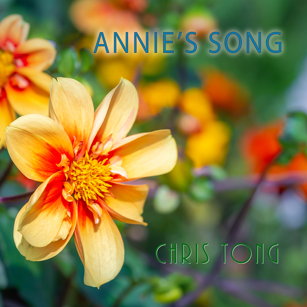 Annie's Song